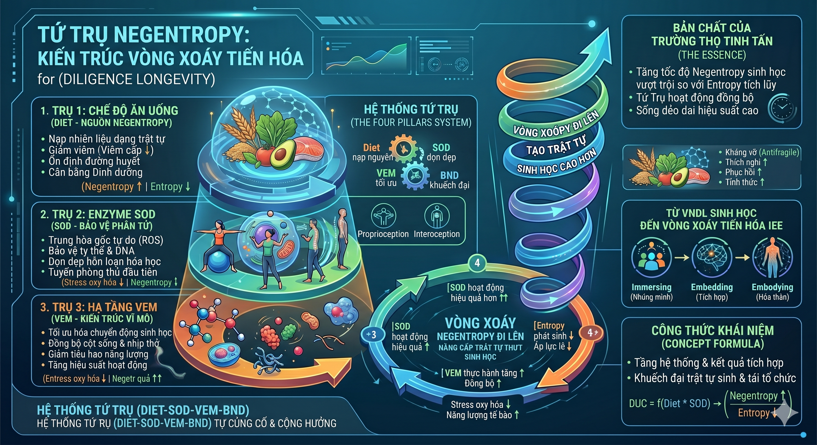 V&Ograve;NG XO&Aacute;Y TIẾN H&Oacute;A NEGENTROPY