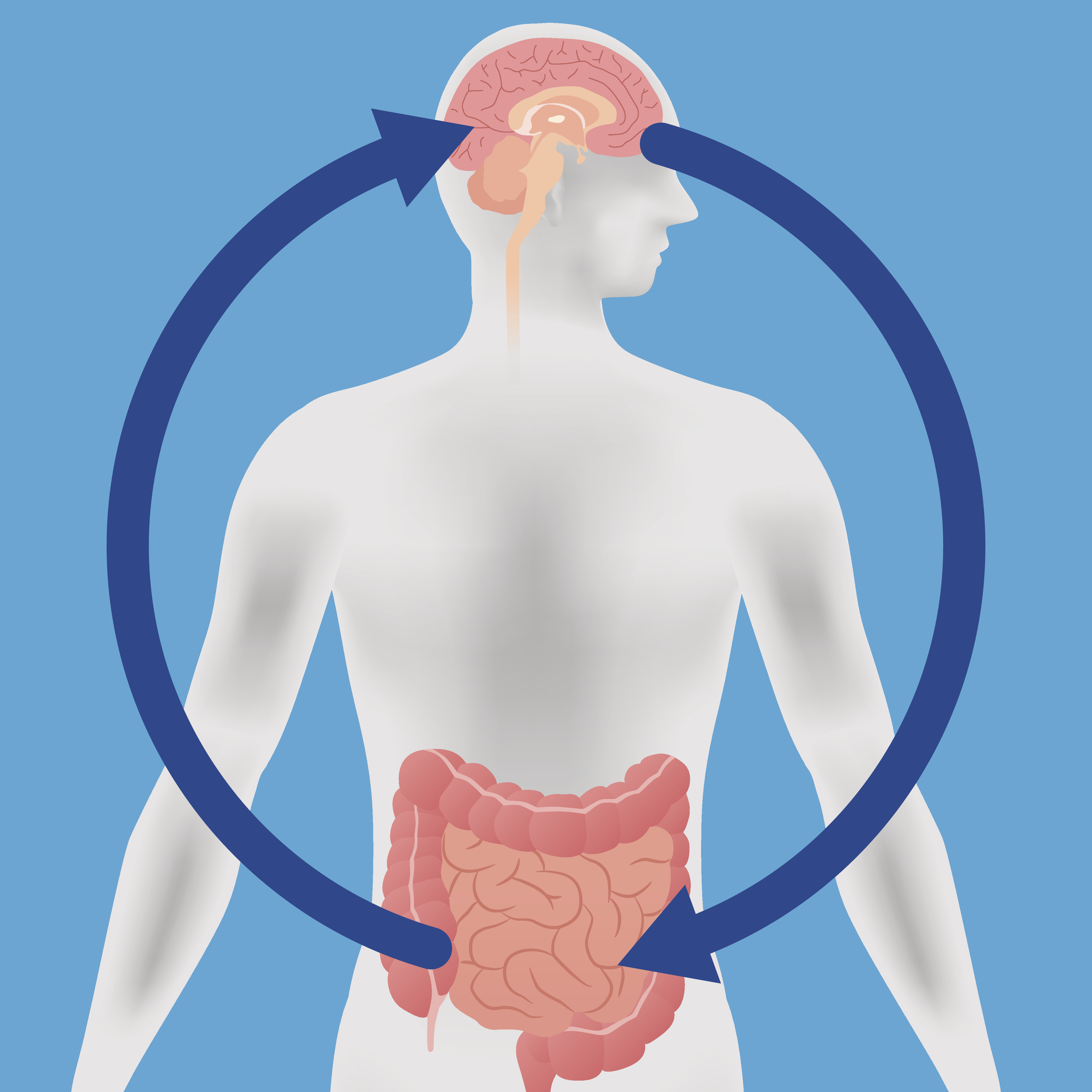 The Gut-Brain Axis: Unveiling New Horizons in Autism Spectrum Disorder Management