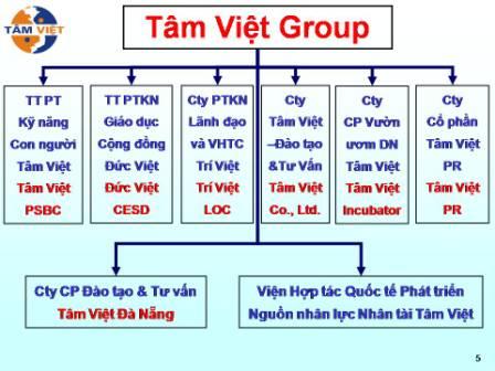 Cơ cấu công ty thuộc Tâm Việt Group